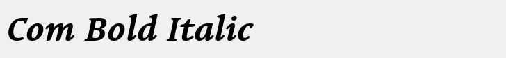 Linotype Syntax Serif Com Bold Italic