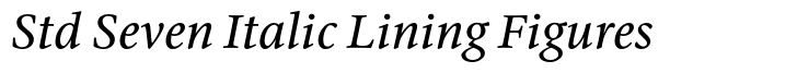Cycles Std Seven Italic Lining Figures