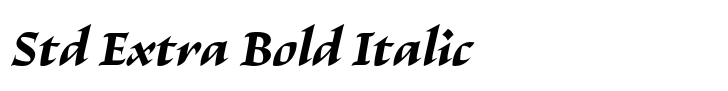 Escritura Std Extra Bold Italic