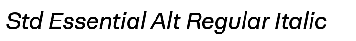 Neogrotesk Std Essential Alt Regular Italic