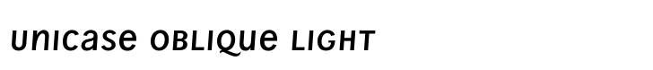 Wien Pro Unicase Oblique Light