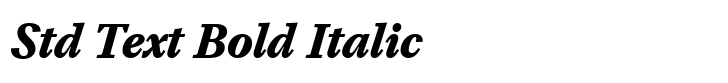TT Livret Std Text Bold Italic