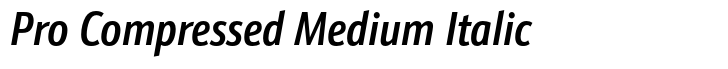 Schnebel Sans Pro Pro Compressed Medium Italic