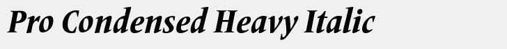 Frutiger Serif Pro Condensed Heavy Italic