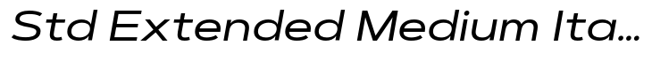 Artegra Sans Std Extended Medium Italic