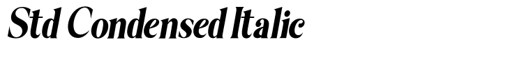 Bagilean Geliayditan Std Condensed Italic