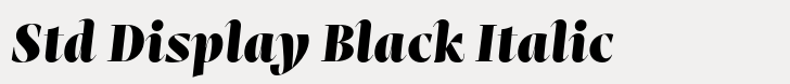 Mastro Std Display Black Italic