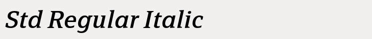 FF Page Serif Std Regular Italic