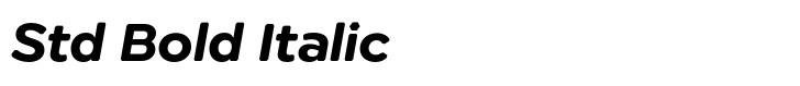 Technica Std Bold Italic