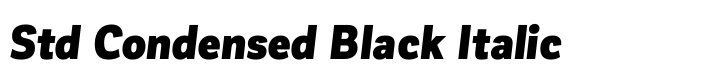 Corporative Sans Std Condensed Black Italic