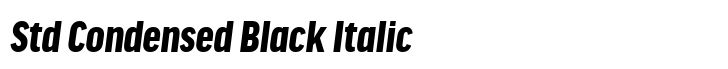 FF Good Headline Std Condensed Black Italic