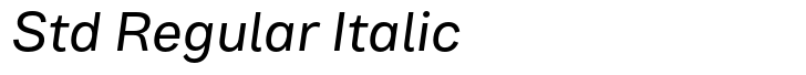 Bruta Global Std Regular Italic