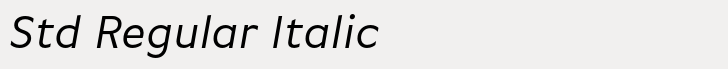 FF Basic Gothic Std Regular Italic