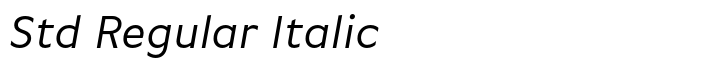 FF Basic Gothic Std Regular Italic