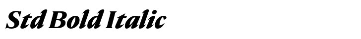 Nocturne Serif Std Bold Italic