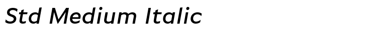 FF Basic Gothic Std Medium Italic