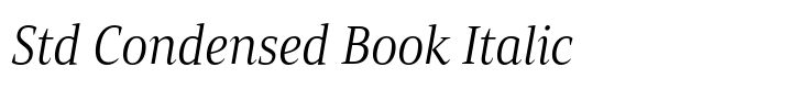 Mandrel Std Condensed Book Italic