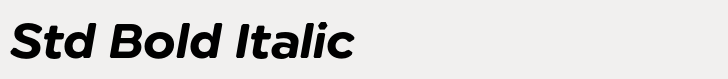 Technica Std Bold Italic