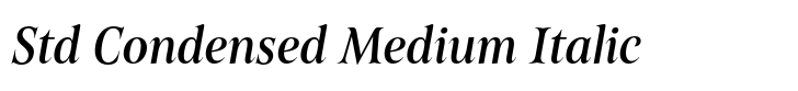 Belda Std Condensed Medium Italic