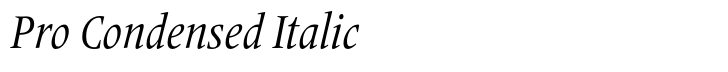 Frutiger Serif Pro Condensed Italic