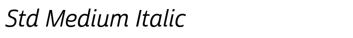 Cabrito Sans Std Medium Italic
