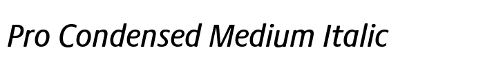 Praxis Next Pro Condensed Medium Italic