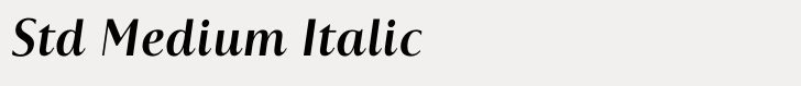 Astoria Classic Sans Std Medium Italic