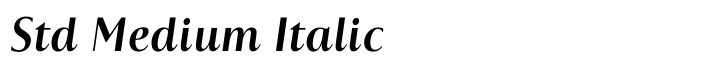 Astoria Classic Sans Std Medium Italic