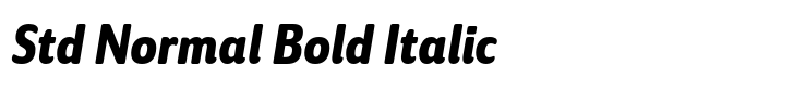 Solitas Std Normal Bold Italic