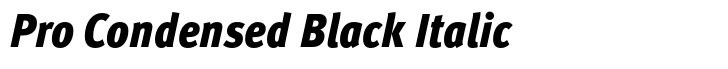 FF Meta Pro Condensed Black Italic