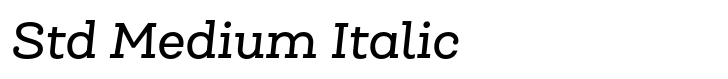 Queulat Std Medium Italic