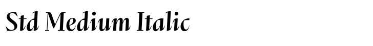 Abstract Std Medium Italic