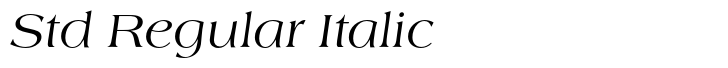 EF Americana Std Regular Italic