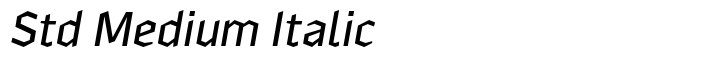 Zenga Std Medium Italic