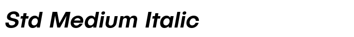 Publica Sans Std Medium Italic