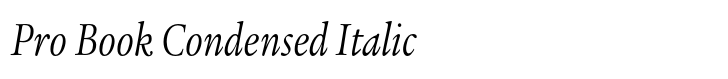 ITC Legacy Serif Pro Book Condensed Italic