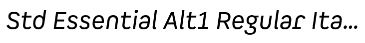 Spock Std Essential Alt1 Regular Italic