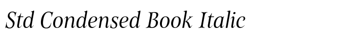 Belda Std Condensed Book Italic