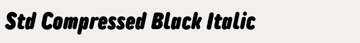TT Rounds Neue Std Compressed Black Italic