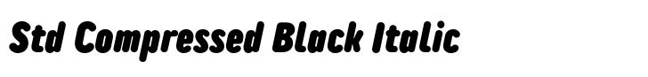 TT Rounds Neue Std Compressed Black Italic