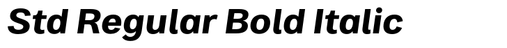 Bruta Global Std Regular Bold Italic