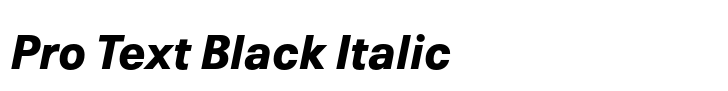 Neue Plak Pro Text Black Italic