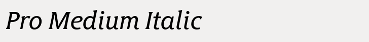 Hybrid Pro Medium Italic