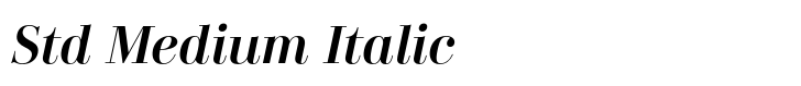 Didonesque Std Medium Italic