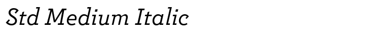 Postulat Std Medium Italic