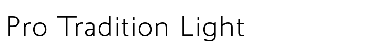 Ambiguity Pro Tradition Light
