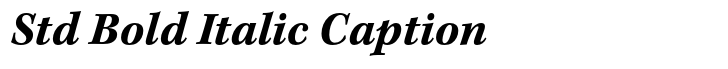 Kepler Std Bold Italic Caption