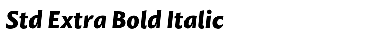 Mastro Sans Std Extra Bold Italic
