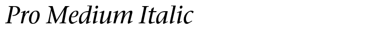 ITC Stone Serif Pro Medium Italic
