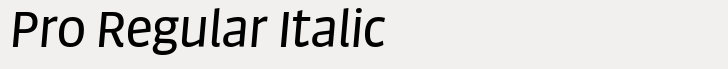 FF Sanuk Big Pro Regular Italic